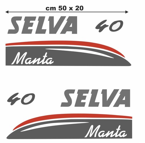 Coppia adesivi per motore