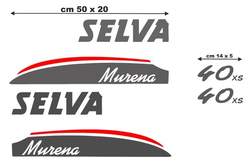 Coppia adesivi per motore